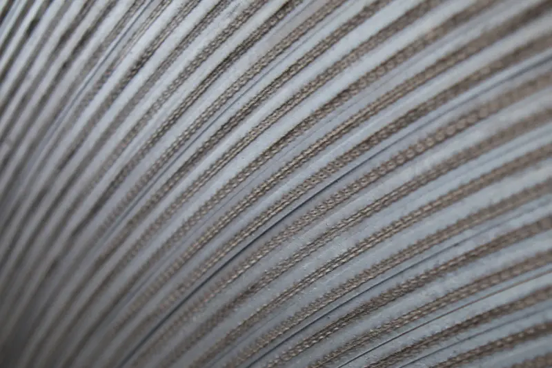 Steel cord belt
